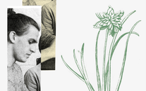 WordGo - Journal 18 Illustrations - Exports - Day 1 Detail 1.gif