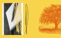 WordGo - Journal 18 Illustrations - Exports - Day 2 Detail 2.gif