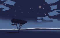 WordGo - Journal 19 Illustrations - Exports - Detail 2.gif