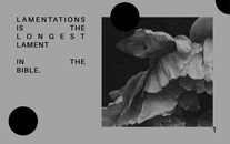 WordGo - Journal 40 - Detail 1