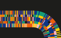 WordGo - Journal 43 Illustrations - Detail 1