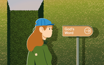 WordGo - Journal 48 Illustrations - Detail 2