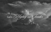 WordGo - Journal 51 Illustrations - Detail 2